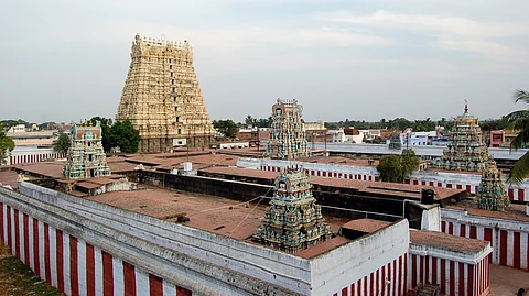 சங்கரன்கோவில் சங்கரநாராயண சுவாமி கோயில்