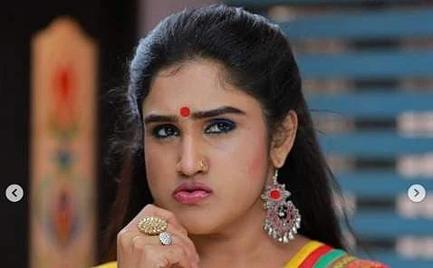 நடிகை வனிதாவுக்கு ஆதரவாக செயல்பட்டதாக நடிகா் மீது தாக்குதல்