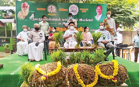 நம்பிக்கை அளித்த "நெல் திருவிழா'