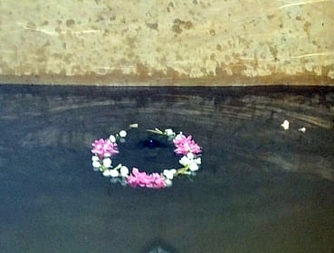 சேரன்மகாதேவியில் மிளகு பிள்ளையாருக்கு நடைபெற்ற சிறப்பு அபிஷேகம்.