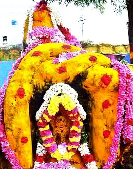 செல்லியம்மன் கோயிலில் நாகதேவதை அம்மனுக்கு செய்யப்பட்டிருந்த சிறப்பு அலங்காரம்.