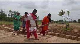 விவசாய நிலத்தில் எருதுக்கு பதிலாக மகள்களைப் பூட்டி ஏா் உழும் விவசாயி.