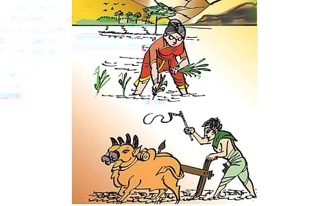 உழவுத் தொழில்!
