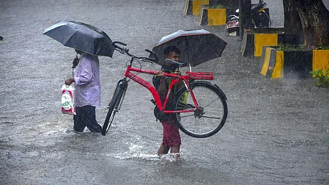 கோப்புப் படம்