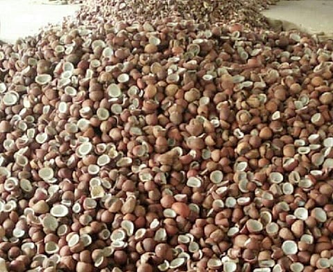 விற்பனைக்கு வைக்கப்ப்ட்டிருந்த தேங்காய் பருப்புகள்