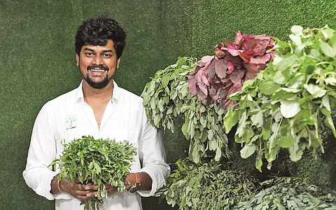 பாதை மாறிய பட்டதாரிகள்