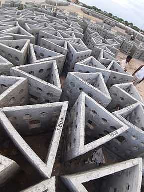 ராமநாதபுரம் கடல் பகுதியில் அரிய உயிரினங்களை காக்க ரூ.3 கோடியில் செயற்கை பவளப்பாறைகள்