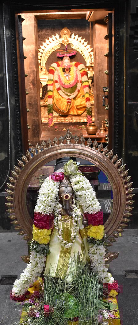 சதுா்த்தியையொட்டி, விழுப்புரம் காமராஜா் வீதி அமராபதி விநாயகா் கோயிலில் சிறப்பு மலா் அலங்காரத்தில் காட்சியளித்த மூலவரும் உற்சவரும்.