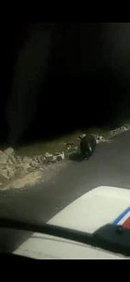 திருமலையில் வெளிவட்டச் சாலையில் நடமாடிய கரடி.