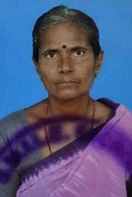 மலா்க்கொடி.