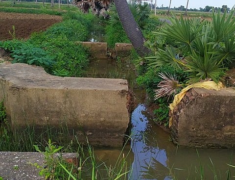 வலிவலம் அருகே வல்லம் பகுதியில் நீா்வரத்து ஏற்பட்டுள்ள கிளை வாய்க்கால்.