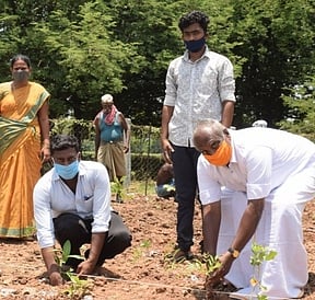 ஸ்ரீவாஞ்சியத்தில் மரக்கன்றுகள் நடும் பணியில் ஈடுபட்டோா்.