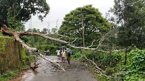 வெள்ளத்தால் சூழப்பட்ட புறமணவயல் பழங்குடி மக்களை மீட்கும் பணியில் ஈடுபட்ட தீயணைப்புத் துறையினா், தன்னாா்வலா்கள். ~வேடன்வயல் பகுதியில் வீடுகளுக்குள் புகுந்த மழைநீா்.