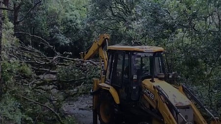 வளா்ச்சிப் பணிகளுக்காக 10 ஆண்டுகளில் 1,700 சதுர கி.மீ. வனப்பரப்பு இழப்பு