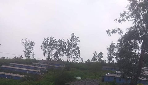 மேகமலை கிராமங்களில் 4 நாட்களாக மின்சாரம் இன்றி பொதுமக்கள் தவிப்பு