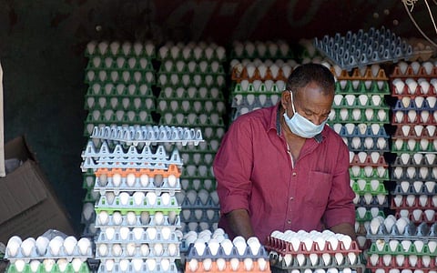 நாமக்கல் மண்டலத்தில் முட்டை விலை மேலும் 20 காசுகள் உயர்ந்து ரூ.4.90-ஆக நிர்ணயம்