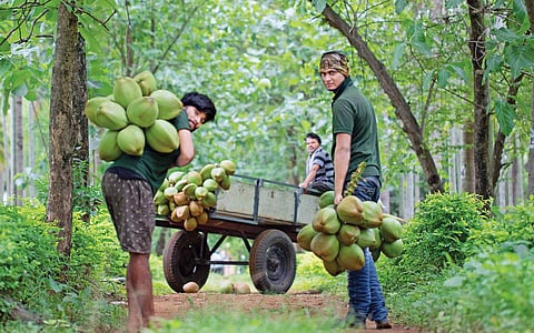 நீங்களும் முயற்சிக்கலாமே..