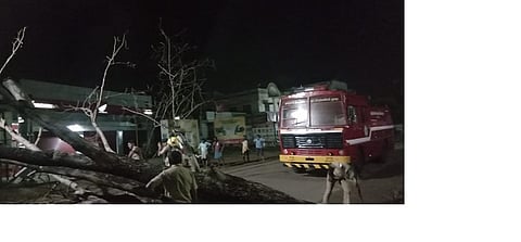 சாலையில் விழுந்த மரத்தை அப்புறப்படுத்தும் தீயணைப்பு வீரா்கள்.