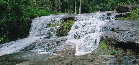 கொடைக்கானலில் பெய்த மழையின் காரணமாக வில்பட்டி பள்ளங்கி வனப் பகுயிலுள்ள முத்தப்பஓடையில் தண்ணீர் வரத்து அதிகரித்து வருகிறது.