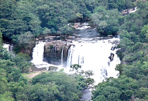 தமிழக-கேரள  எல்லையில்  உள்ள  தூவானம்  அருவியில்  ஏற்பட்டுள்ள வெள்ளப் பெருக்கு.