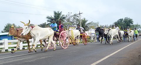 திருப்பத்தூரில் ஞாயிற்றுக்கிழமை நடைபெற்ற மாட்டுவண்டிப் பந்தயத்தில் பங்கேற்று சீறிப்பாய்ந்து ஓடிய காளைகள்.