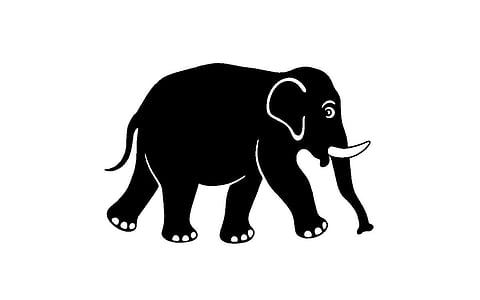 தானம் செய்யாத யானை!