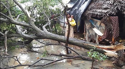 மயிலாடுதுறை: மரங்கள் சாய்ந்து வீடுகள் சேதம் நெற்பயிா், மின்கம்பங்களும் சாய்ந்தன