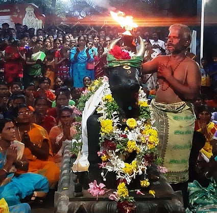 பிரதோஷத்தையொட்டி சிறப்பு அலங்காரத்தில் காட்சியளித்த நந்தியம்பெருமான்.