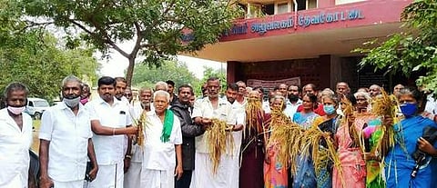 தேவகோட்டை பகுதியில் 800 ஏக்கரில் நெற்பயிா்கள் சேதம்