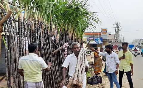 கரூரில் பொங்கல் கரும்பு விற்பனை மந்தம்