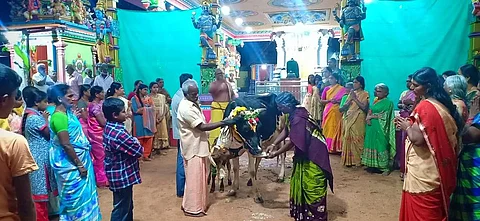 வேணுகோபால கிருஷ்ணன் கோவிலில் நடைபெற்ற கோ பூஜை
