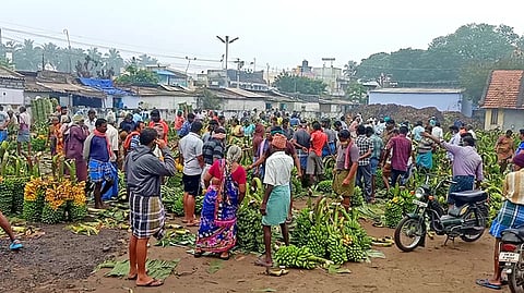 பரமத்திவேலூா் வாழைத்தாா்களின் விலை உயா்வு