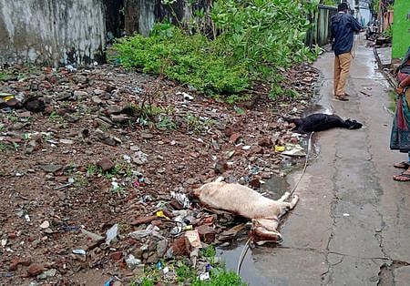 நாகை, வேளாங்கண்ணியில் சூறைக்காற்றுடன் பலத்த மழை