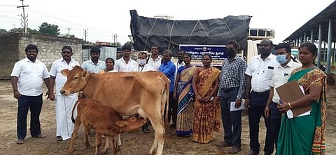 பயனாளிக்கு கறவை மாடு வழங்குகிறாா் ஊராட்சித் தலைவா் ஞானராஜ்.