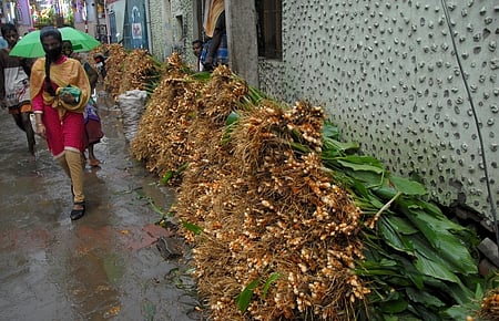 மதுரை கீழமாசி வீதியில் விற்பனைக்கு வைக்கப்பட்டுள்ள மஞ்சள் கொத்துகள்.