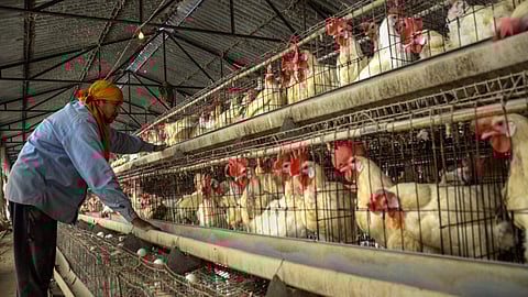 கோப்புப் படம்