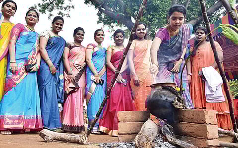 இயற்கைக்கு நன்றி செலுத்தும் தமிழர் திருநாள்