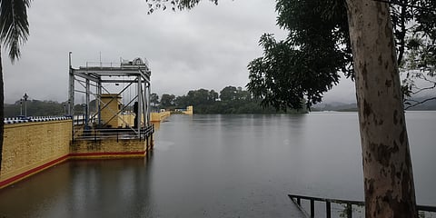 குமரியில் மழை தீவிரம் பேச்சிப்பாறை அணையில் நீா்திறப்பு:  ஆறுகளில் வெள்ளம்