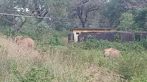 கோப்புப் படம்