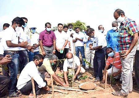 இருங்களுா் ஊராட்சியில் மரக்கன்று நடும் பணியை தொடங்கி வைக்கிறாா் மாவட்ட ஆட்சியா் சு. சிவராசு. உடன் மாவட்ட வருவாய் அலுவலா் த. பழனிகுமாா், லால்குடி வருவாய்க் கோட்டாட்சியா் வைத்தியநாதன், லால்குடி வட்டாட்ச