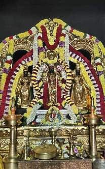 தங்கக்  கவச  சிறப்பு  அலங்காரத்தில்  அருள்பாலித்த ரத்தினகிரி  பாலமுருகன்.