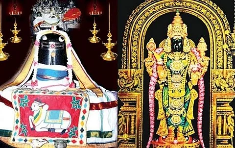 நாகை அருள்மிகு காயாரோகணசுவாமி - நீலாயதாட்சியம்மன்