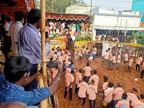 பல்லவராயன் பட்டி ஜல்லிக்கட்டு விழாவில் வாடிவாசல் வழியாக பாய்ந்து சென்ற காளை.