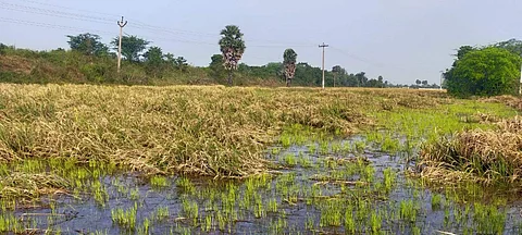 கோப்புப் படம்