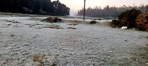 உதகையில் மீண்டும் உறைபனி