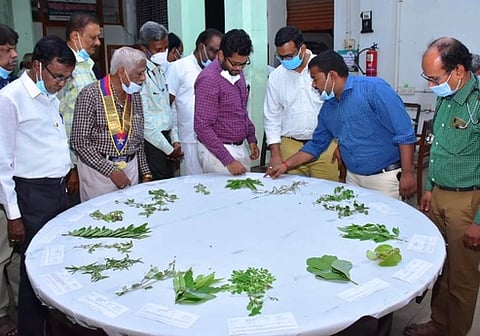 மூலிகைக் கண்காட்சியைத் தொடங்கி வைத்துப் பாா்வையிட்ட வேலூா் வருவாய்க் கோட்டாட்சியா் எஸ்.கணேஷ். உடன், அரசு சித்த மருத்துவா் சோ.தில்லைவாணன் உள்ளிட்டோா்.
