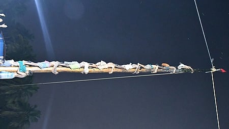 மாங்காட்டில் வழுக்குமரம் ஏறும் இளைஞா்கள்.