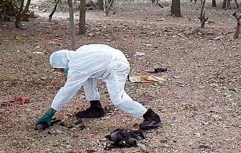 கோப்புப்படம்