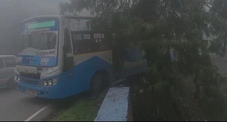 விபத்தில் தடுப்புச் சுவரை உடைத்துக்கொண்டு மரத்தின் மீது மோதி நிற்கும் பேருந்து.