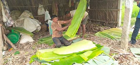 அணைக்கரைப்பட்டி கிராமத்தில் வாழை இலைகளை தரம் பிரிக்கும் பணியில் ஈடுபட்டுள்ள விவசாயி.